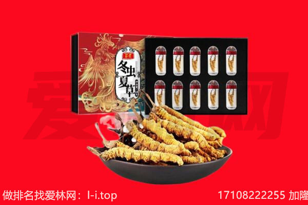 中卫海原县回收虫草.jpg
